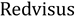 Redvisus
